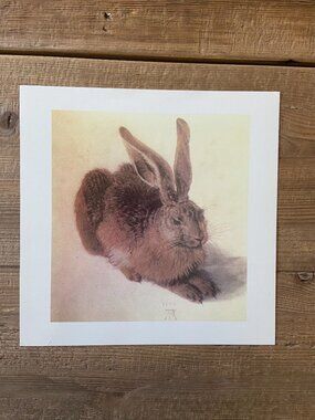 Albrecht Durer, Rabbit Art, Rabbit Print